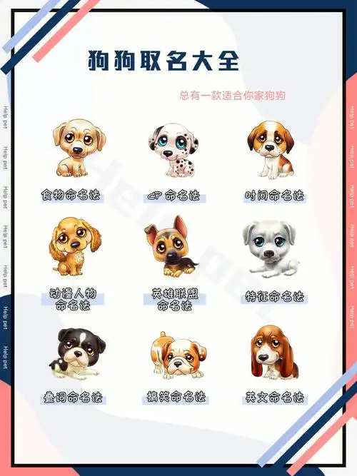 狗狗取名60狗狗各类取名大全60宠物起名60
