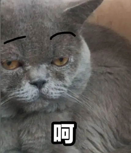 蓝猫表情包大赛有无友友参加