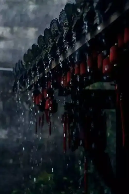 《雨夜,听雨,想你》