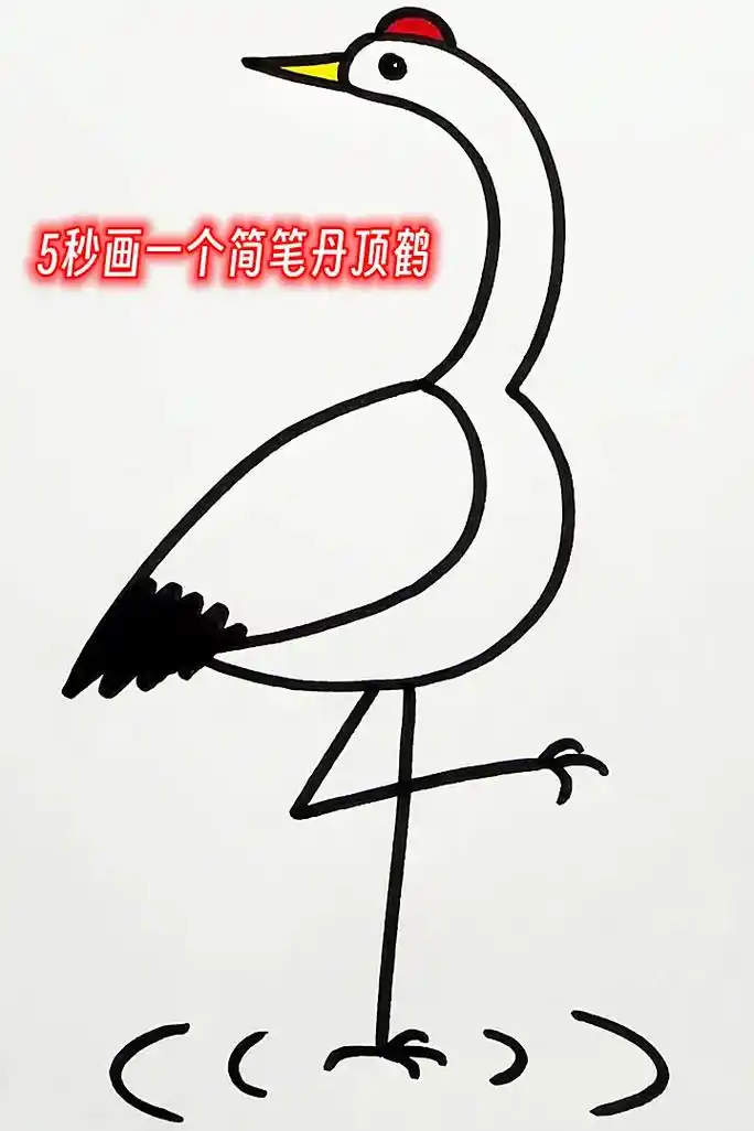 五秒画一个丹顶鹤简笔画,快教给孩子.培养孩子的运笔能力.#儿 - 抖音
