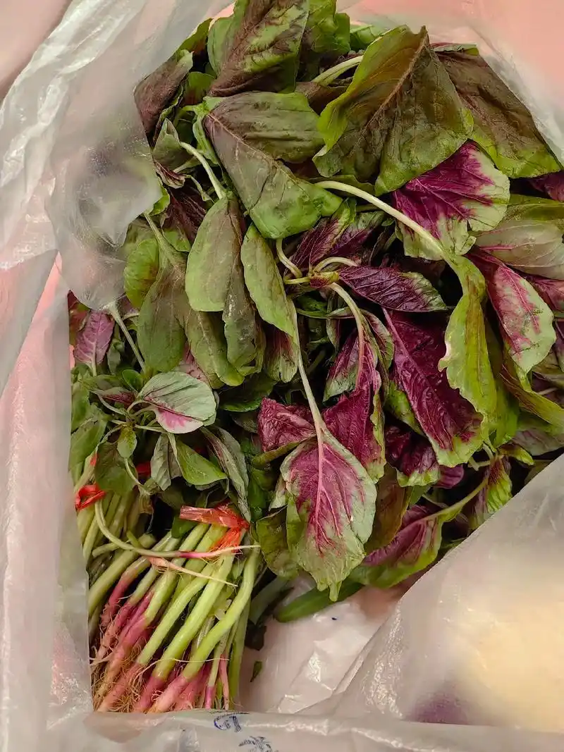 久违的南方菜,红苋菜,馋的不要不要的0000都感觉很久没吃炒 - 抖