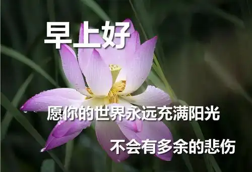 原创非常好看的早上好问候语动表情图片最美早安祝福问候动态美图