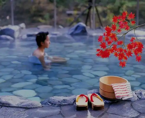 铭湖温泉汽车一日游>五星级酒店管理模式,含旅行社责任险