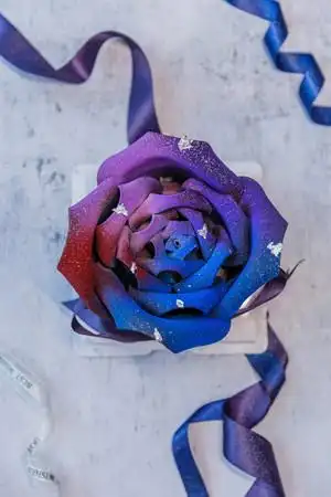 mlle ann蛋糕珍藏(体育西店)★★★★★4.2178条06248/人口味:4.