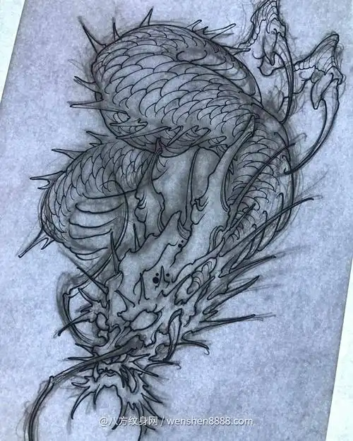 沙河市医生时先生的大臂传统神龙纹身手稿图案欣赏