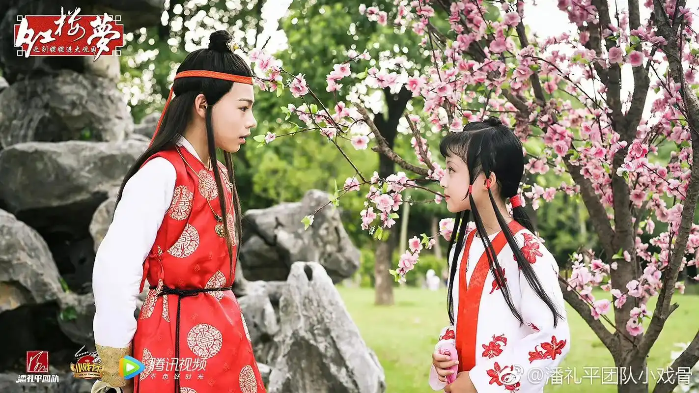 红楼梦 #小戏骨红楼梦 #释小松 #周漾玥 #贾宝玉林黛玉 - 抖音