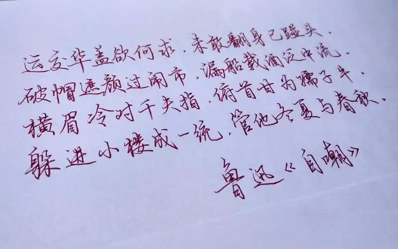 手写鲁迅自嘲横眉冷对千夫指俯首甘为孺子牛