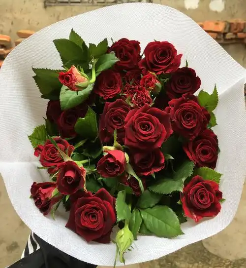 鲜花玫瑰新鲜多头玫瑰紫罗兰泡泡a级