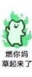 燃你妈草起来了_起来_妈草表情