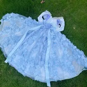 彩色孤品拖尾礼服裙合集 小熊泡沫原创 猫咪泰迪猫狗萌宠摄影礼服