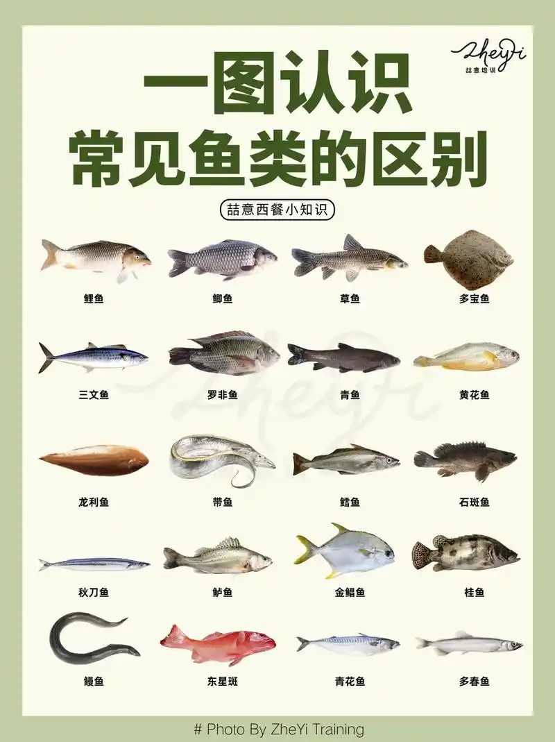 一图看懂73常见鱼类的区别97.