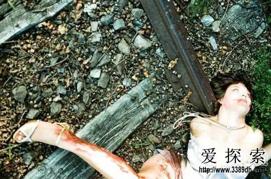 世界十大悬案之华莱士神秘棋局杀人案(6)