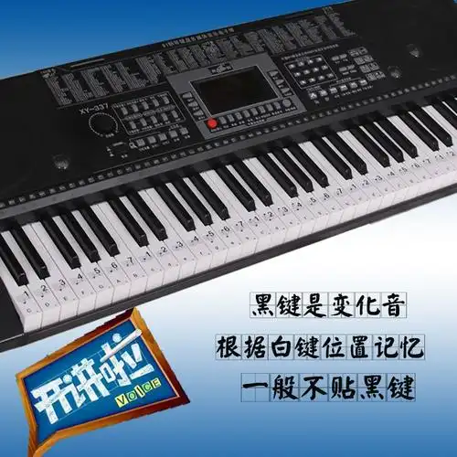 电子琴36键键盘贴电子琴键盘贴琴键贴纸五线谱简谱键位贴电子琴_希格