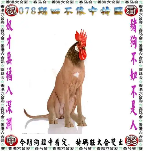 【香港四不像解析】