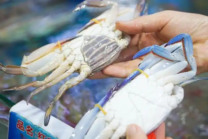 林姐香味海鲜加工店                      现场挑选螃蟹