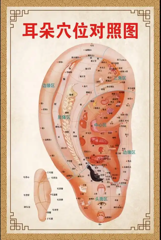告诉你耳朵里藏着的秘密#告诉你一个秘密 - 抖音