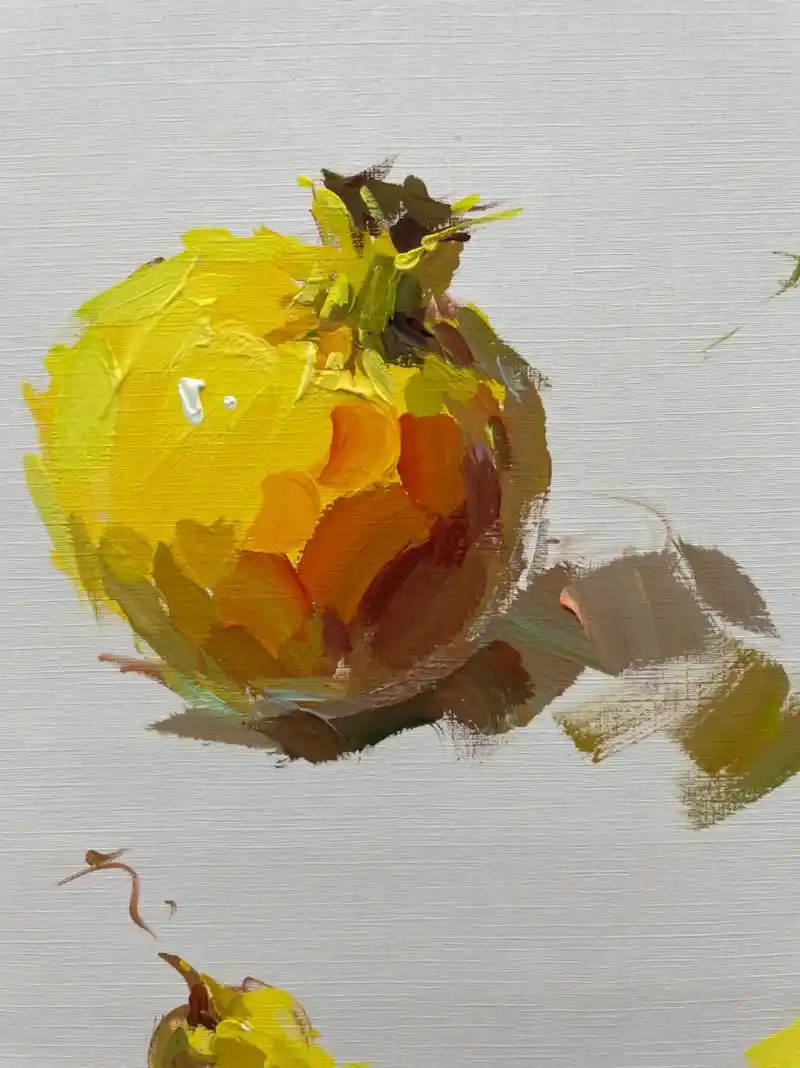 石榴单体示范步骤图来了