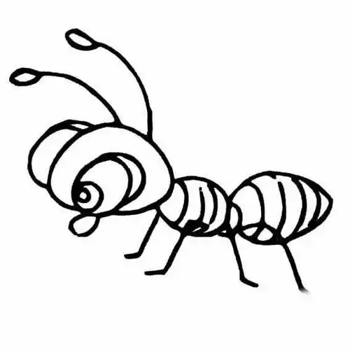 蚂蚁皇后 - 简书