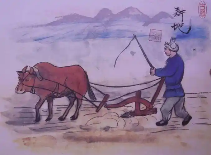 犁 地犁地是用大铧犁,属于深耕,大约深30公分,起松土保墒的作用.