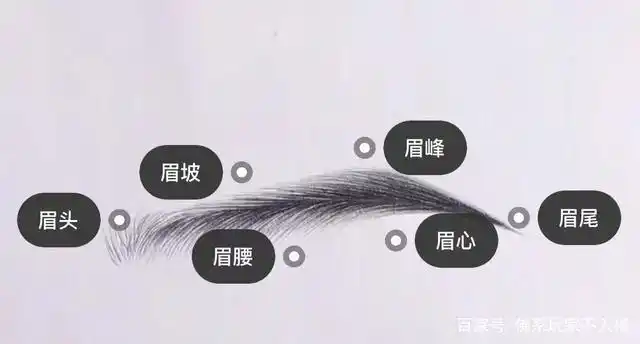 如何拥有一道运气好的眉毛