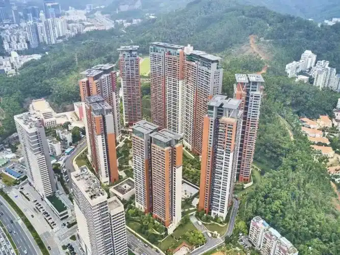 罗湖区优质法拍房华润银湖蓝山润园一期5号