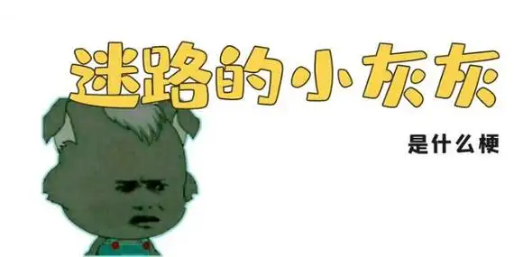 迷路的小灰灰是什么梗迷路的小灰灰表情图片走一波