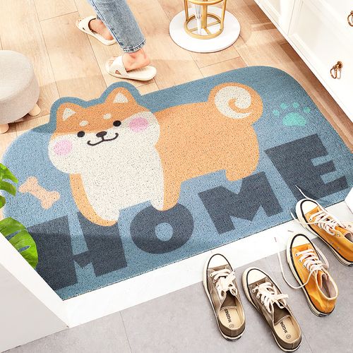 门垫进门防滑吸水地垫耐脏门厅丝圈脚垫大门口除尘客厅玄关 等你哦 45