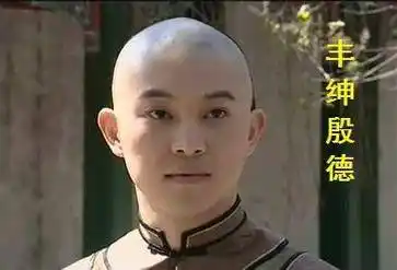 和珅的侄子丰绅宜绵也是乾隆赐的名吗?为什么也有"丰绅"二字?