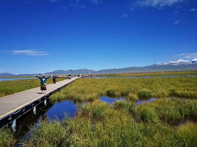 若尔盖草原花湖景区2020.8.19.