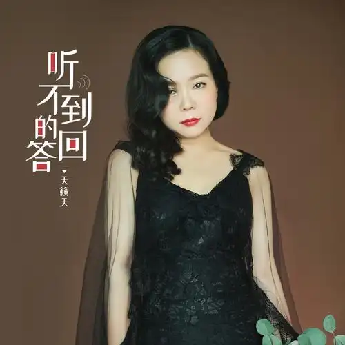 天籁天听不到的回答伴奏