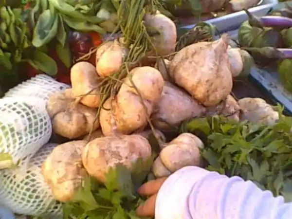 一种 种在地下的果实,其成熟之后,外形于那种扁扁的橘子相似,在果实的