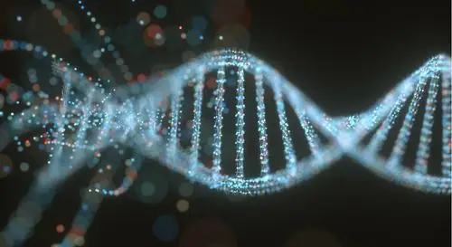 identifies the first gene that increases the risk of fainting