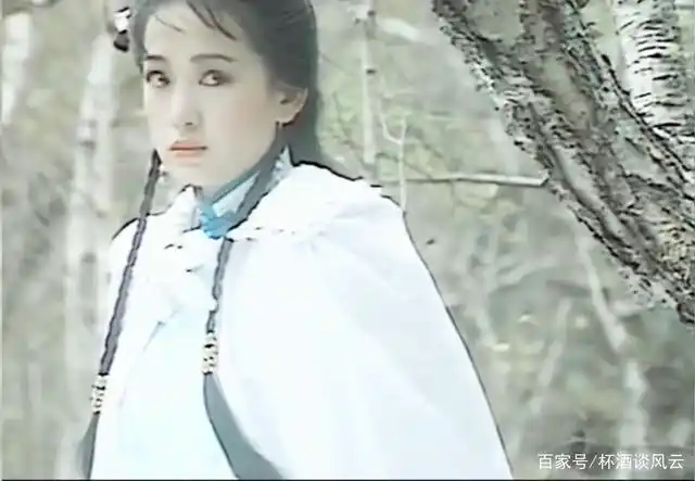 91版《雪山飞狐》你不知道的幕后故事,胡斐爱过程灵素吗?