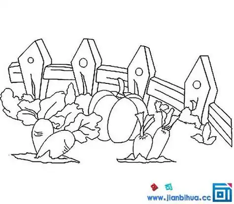 兔子的菜园简笔画