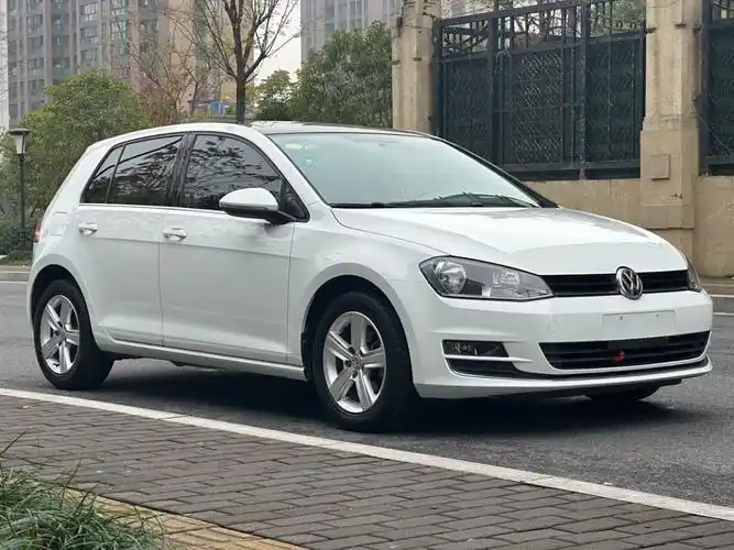 大众 高尔夫  2016款 230tsi 手动舒适型图片