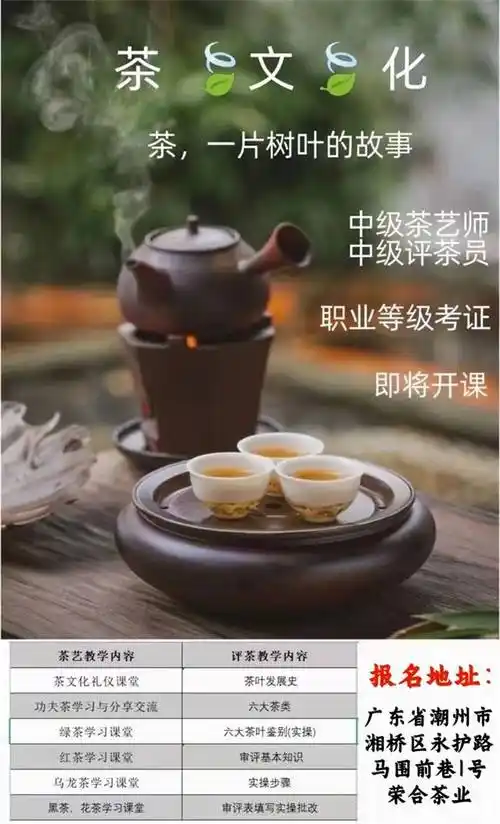 荣合茶业传承千年茶道文化融合时代共创茶之精神