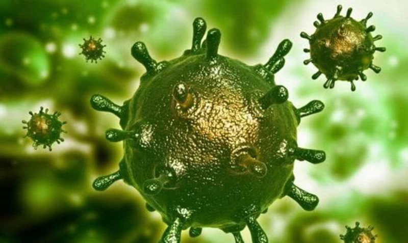 回顾世界"瘟疫史" 打赢今日"抗疫战"