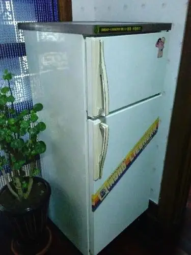 琴岛利勃海尔冰箱33年前等于价值225万