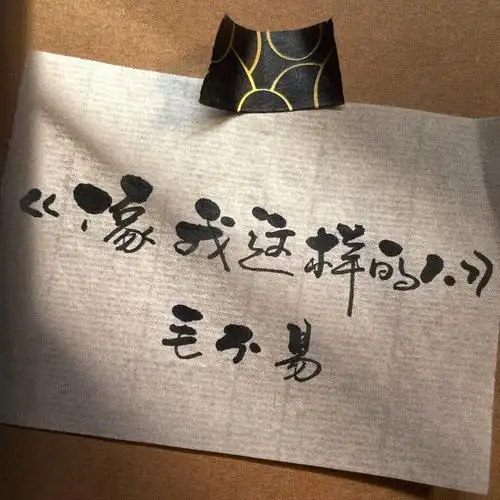 像我这样的人毛不易