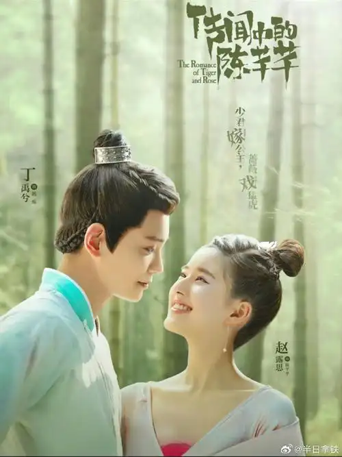 《传闻中的陈芊芊》  赵露思 丁禹兮《我,喜欢你》林雨申 赵露思