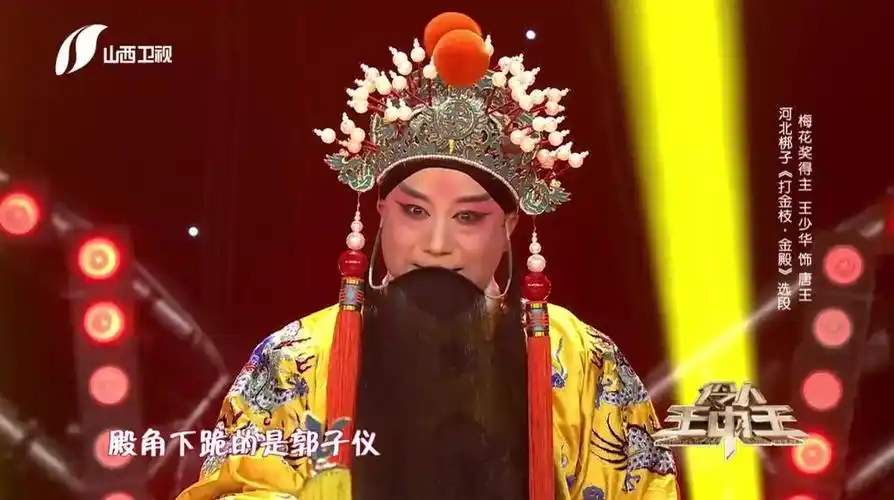 王少华演绎河北梆子《打金枝·金殿》,令人动容丨伶人王中王