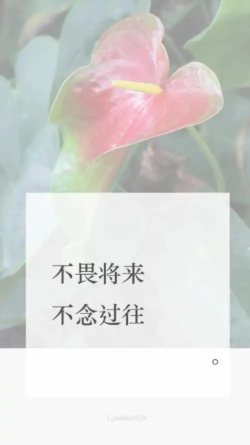 跟不值得的人,事生气 是最愚蠢的事情 因为它浪费了你宝贵的时间和