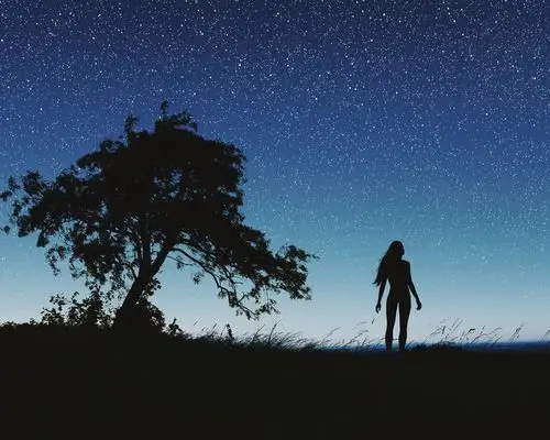 剪影,夜晚,女孩,树,天空,星星 桌布 | 1280x1024 桌布下载 | hk.