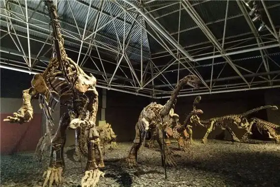 贝恩角龙生活在白垩纪时期的生物亚洲分布最多