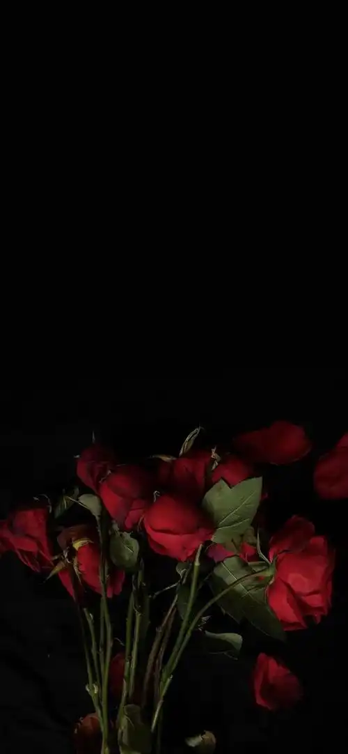 黑色系冷淡风の壁纸