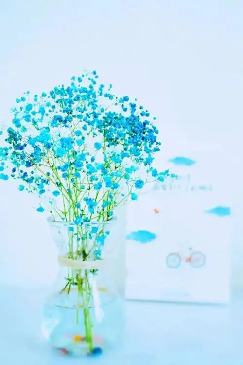 唯美满天星手机壁纸