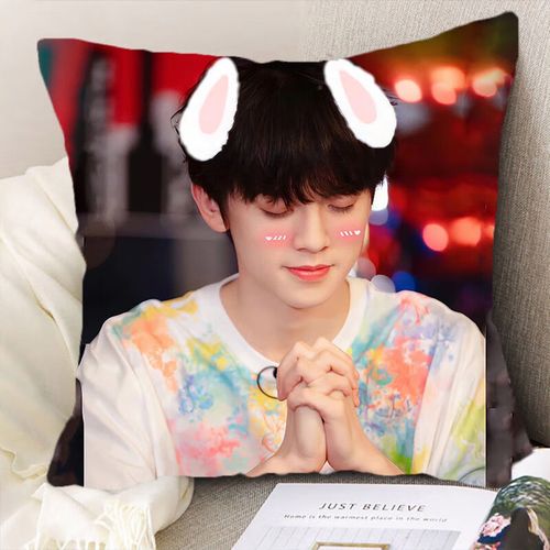 tf家族练习生左航周边抱枕明星应援靠枕学生日礼物枕头定制 1 35x35