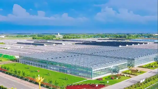 博瑞现代农业产业园,带你智能温室领略高科技农业