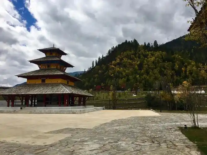 林芝到波密途中