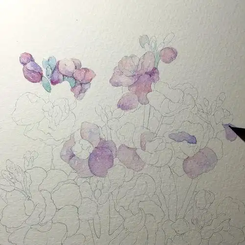 紫罗兰简笔画紫罗兰简笔画彩色